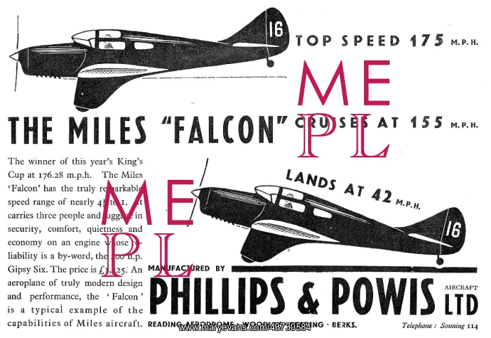 : Miles Falcon : Miles Falcon