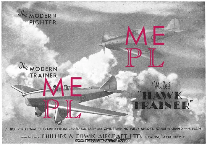 : Miles Hawk Trainer (Phillips & Powis) : Miles Hawk Trainer (Phillips & Powis)