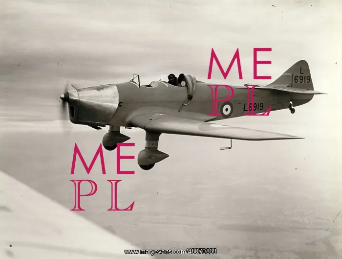 : Miles M14 Magister, L6919 : Miles M14 Magister, L6919