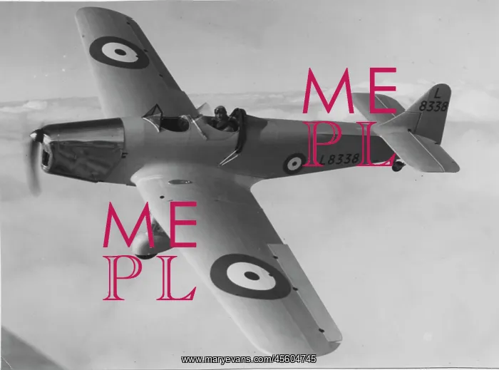 : Miles Magister -the RAF's standard basic trainer built : Miles Magister -the RAF's standard basic trainer built