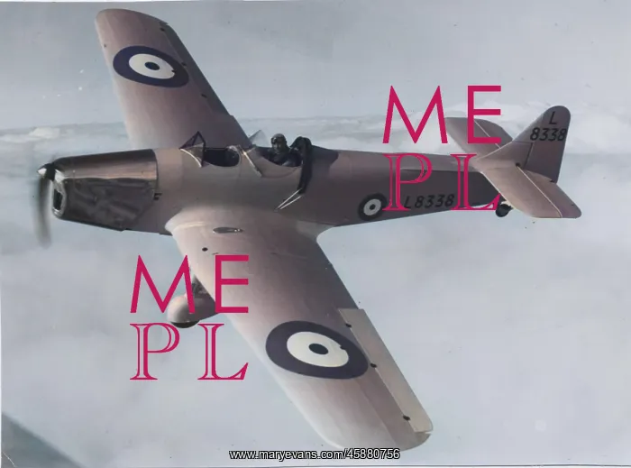 : Miles Magister -the RAF's standard basic trainer built? : Miles Magister -the RAF's standard basic trainer built?