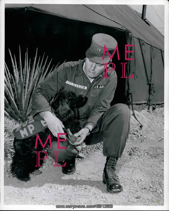 : US Military : US Military