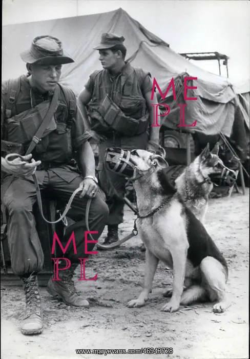 : US Military