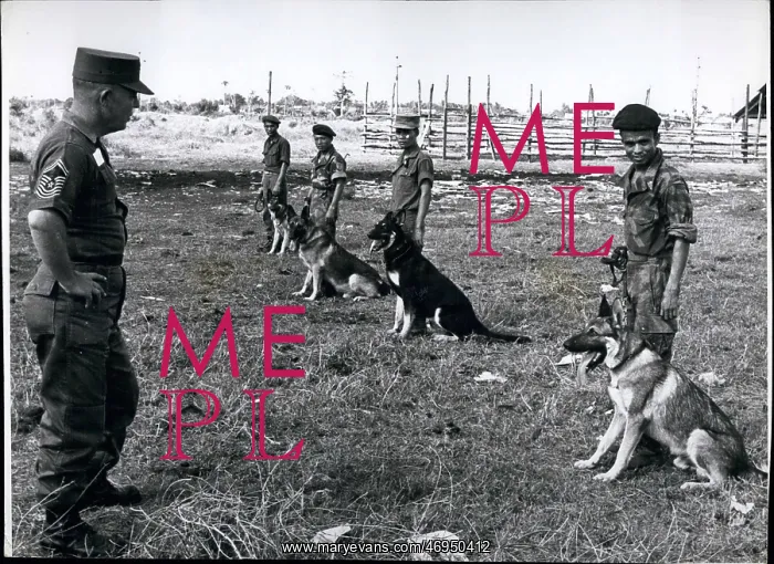 : US Military : US Military