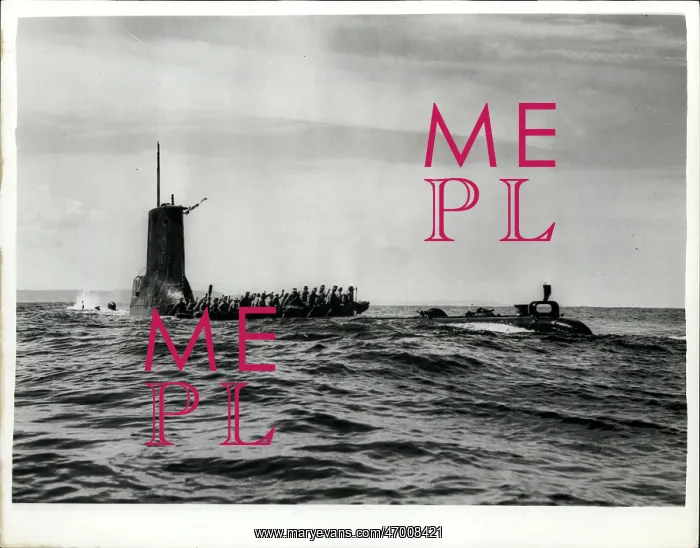: US Military : US Military