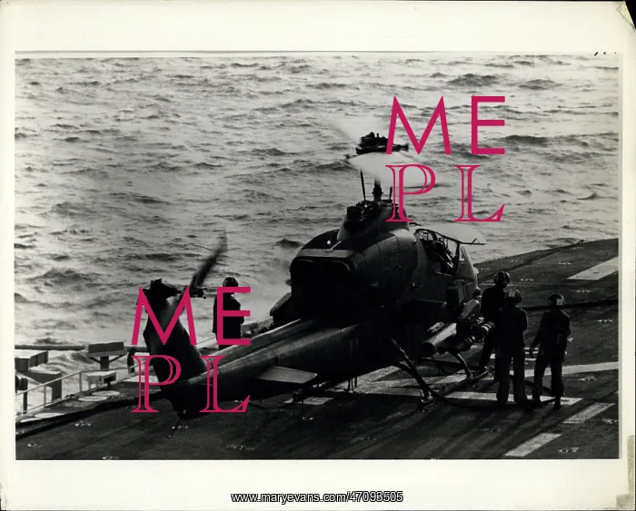: US Military : US Military