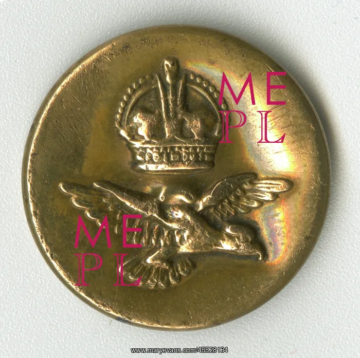 : Military aviation button with eagle and crown : Military aviation button with eagle and crown