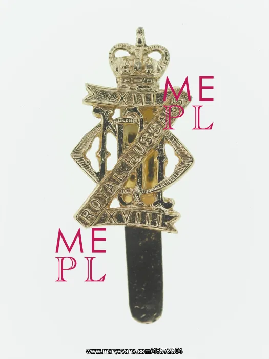 : Military Badge : Military Badge