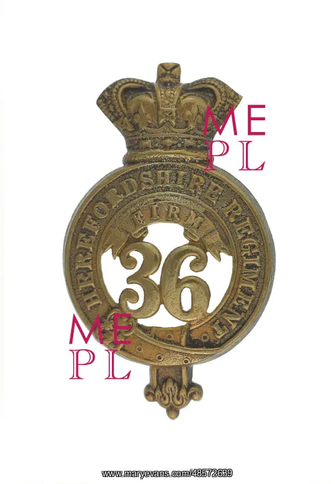 : Military Badge : Military Badge
