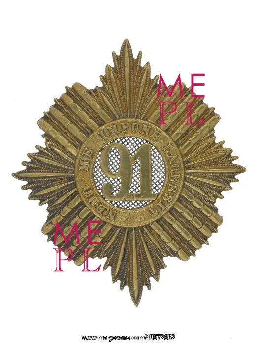 : Military Badge : Military Badge