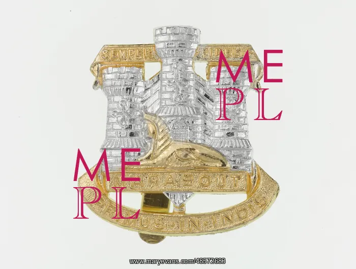 : Military Badge : Military Badge