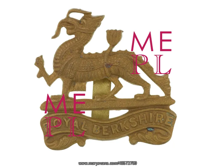  : Military Badge
