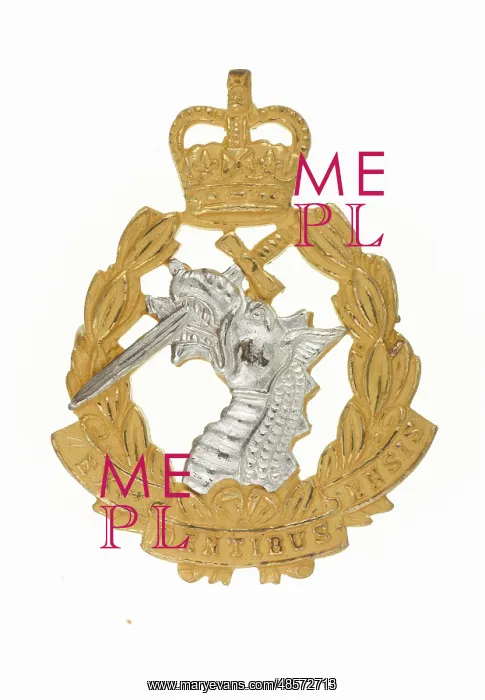 : Military Badge : Military Badge