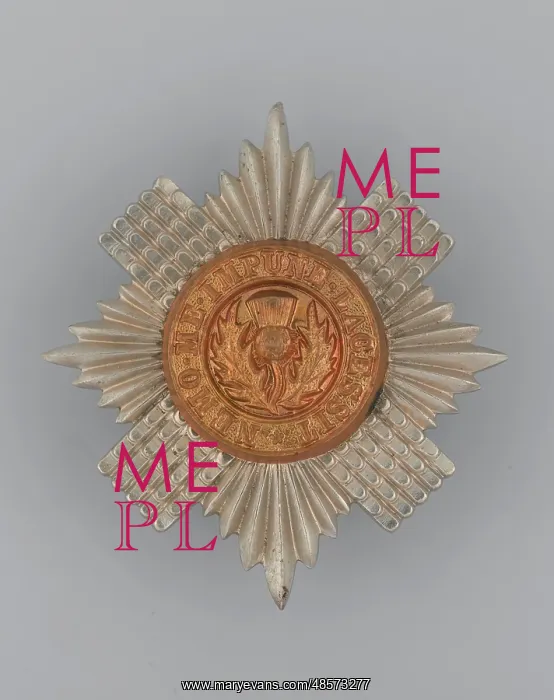 : Military Badge : Military Badge