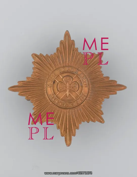 : Military Badge : Military Badge