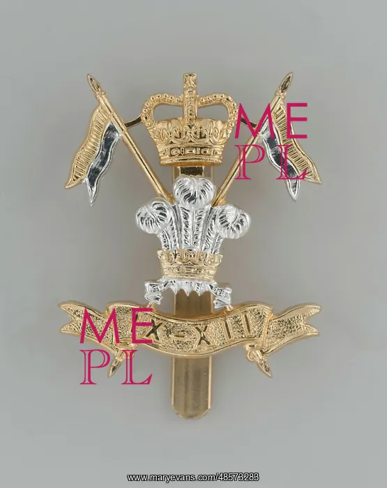 : Military Badge : Military Badge