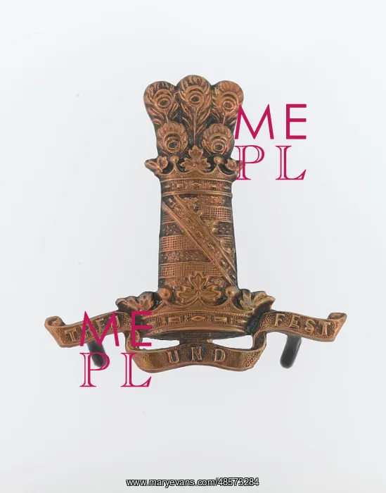 : Military Badge : Military Badge