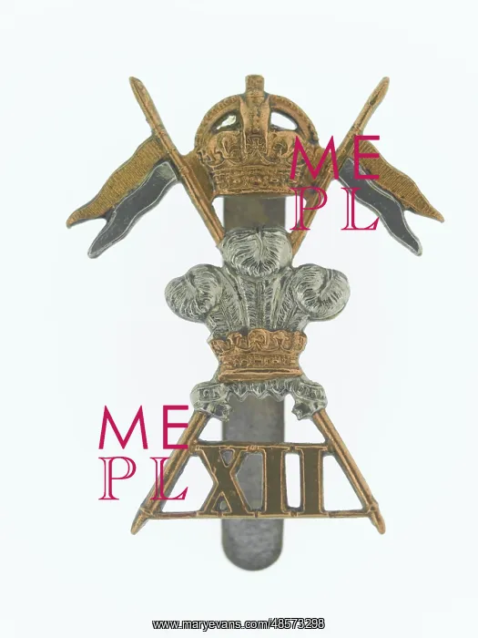  : Military Badge