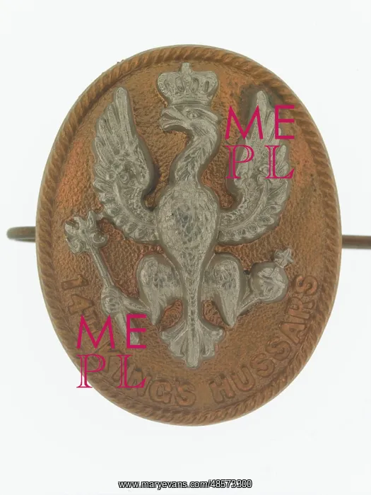 : Military Badge : Military Badge
