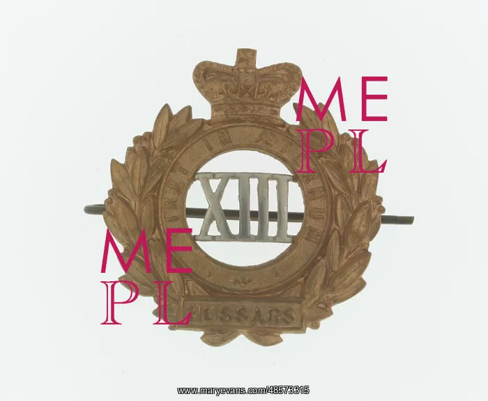 : Military Badge : Military Badge