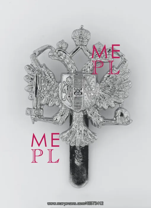 : Military Badge : Military Badge