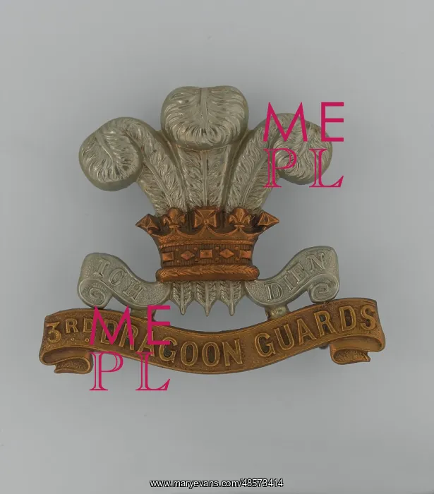 : Military Badge : Military Badge