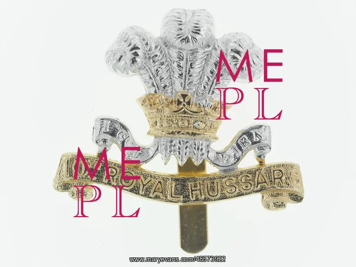 : Military Badge : Military Badge