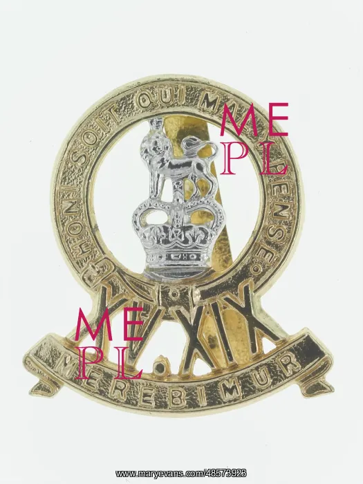 : Military Badge : Military Badge