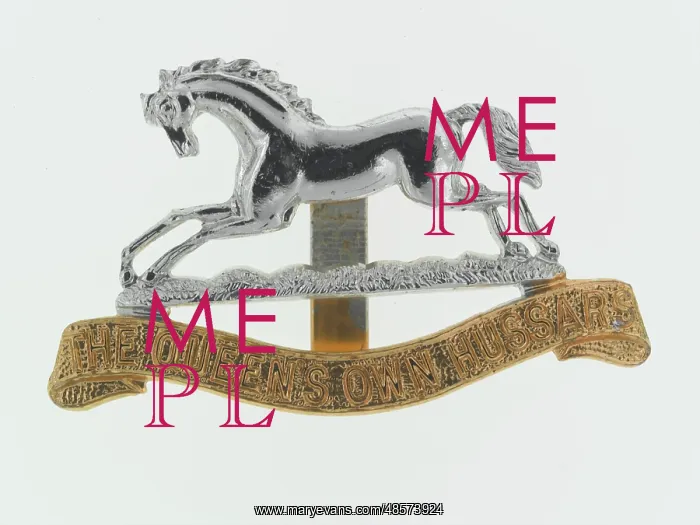  : Military Badge