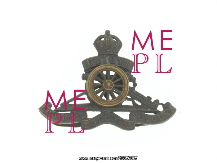 : Military Badge : Military Badge