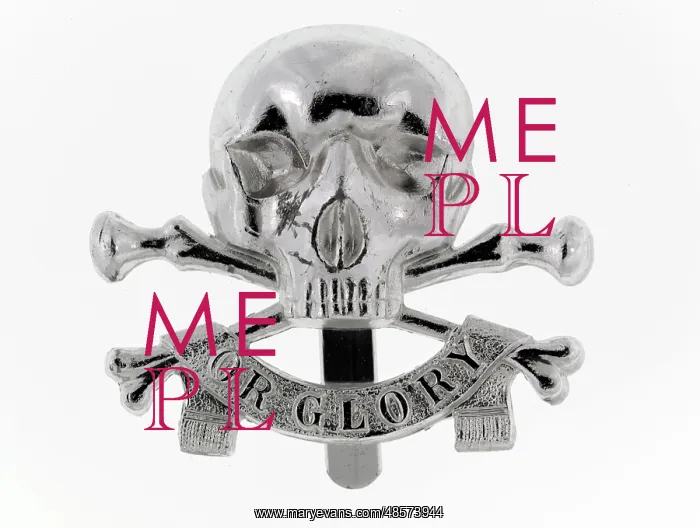 : Military Badge : Military Badge