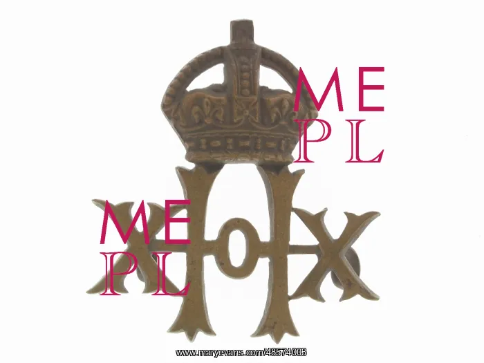  : Military Badge