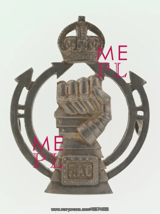 : Military Badge : Military Badge