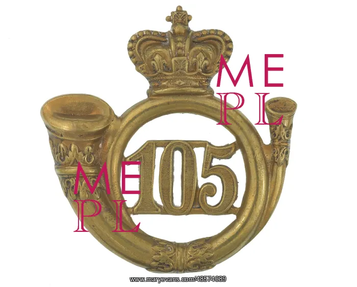 : Military Badge : Military Badge