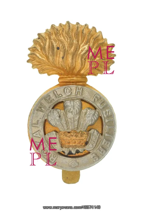 : Military Badge : Military Badge
