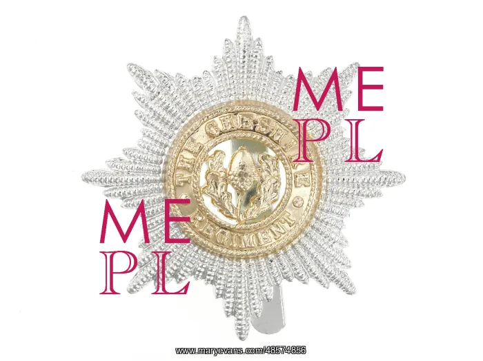 : Military Badge : Military Badge
