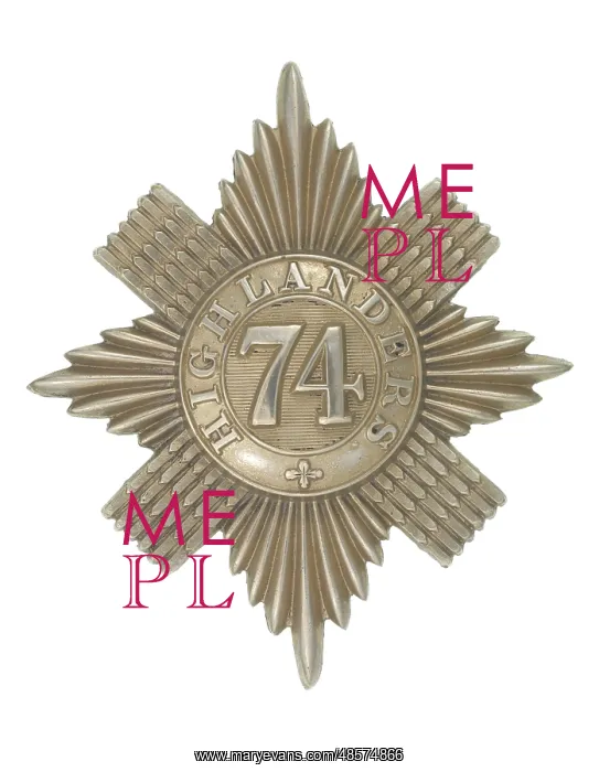 : Military Badge : Military Badge