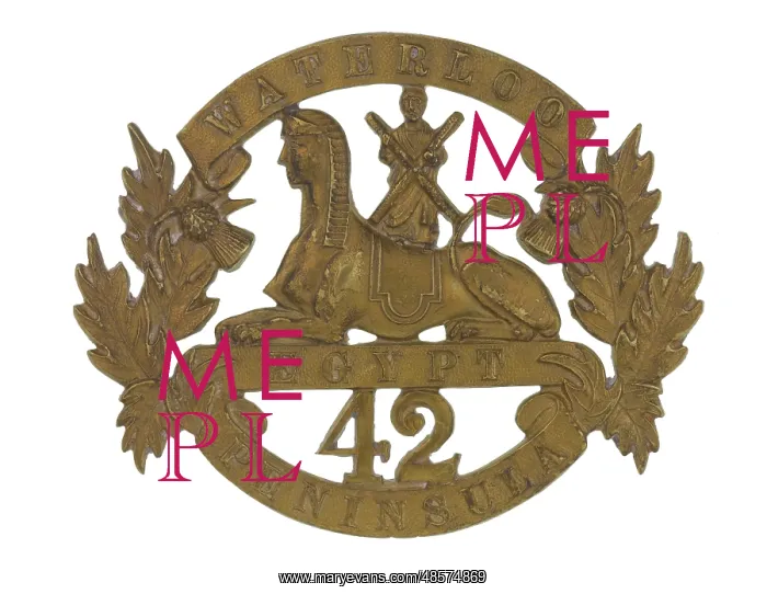 : Military Badge : Military Badge