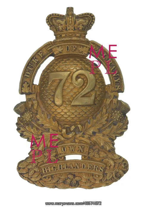 : Military Badge : Military Badge