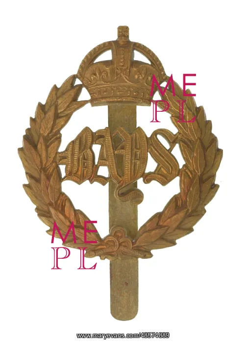 : Military Badge : Military Badge