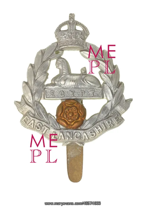 : Military Badge : Military Badge