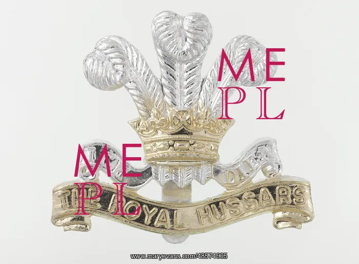 : Military Badge : Military Badge