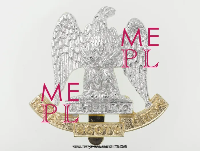 : Military Badge : Military Badge