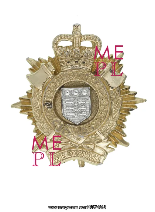 : Military Badge : Military Badge