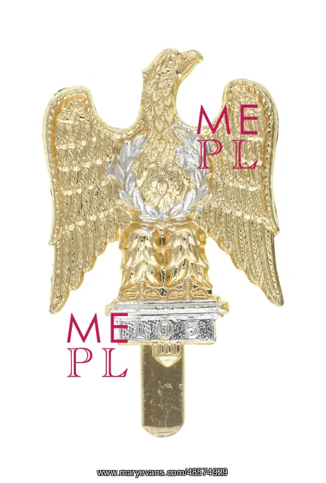 : Military Badge : Military Badge
