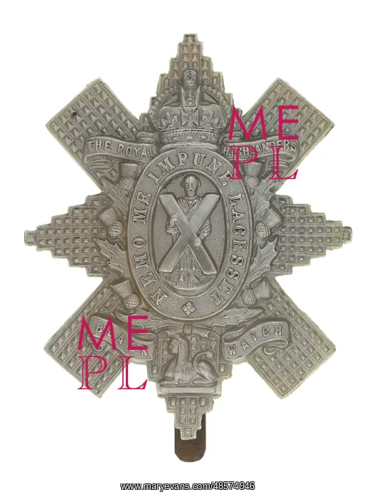 : Military Badge : Military Badge