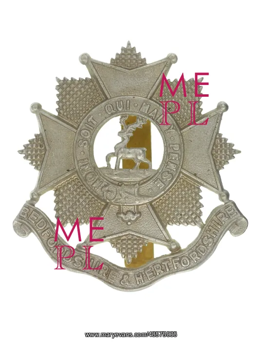 : Military Badge : Military Badge