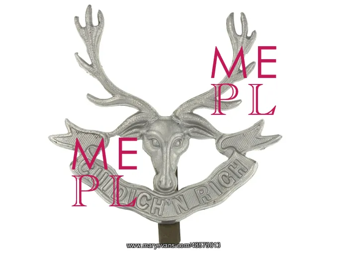 : Military Badge : Military Badge