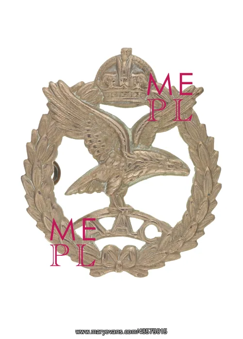 : Military Badge : Military Badge