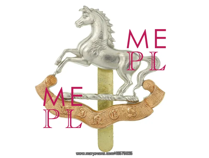 : Military Badge : Military Badge